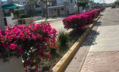 CASA AMUEBLADA FRACC AZUL MARINO