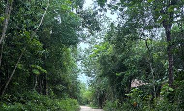TERRENOS EN VENTA EN TULUM COBÁ