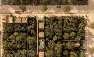 TERRENOS EN VENTA EN TULUM COBÁ