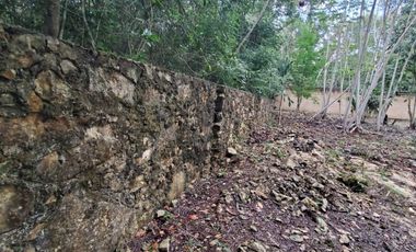 TERRENO EN VENTA EN TULUM COBÁ