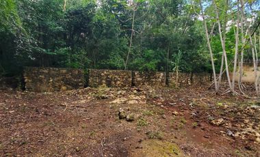 TERRENO EN VENTA EN TULUM COBÁ