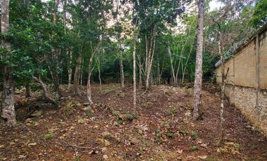 TERRENO EN VENTA EN TULUM COBÁ