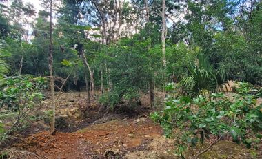 TERRENO EN VENTA EN TULUM COBÁ