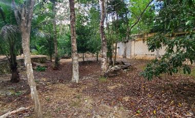 TERRENO EN VENTA EN TULUM COBÁ