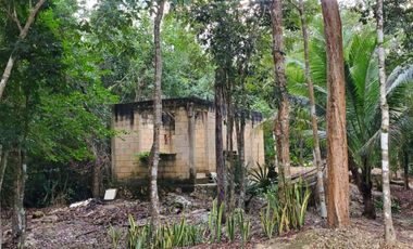 TERRENO EN VENTA EN TULUM COBÁ