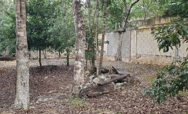 TERRENO EN VENTA EN TULUM COBÁ