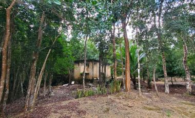 TERRENO EN VENTA EN TULUM COBÁ