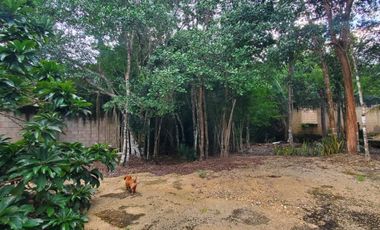 TERRENO EN VENTA EN TULUM COBÁ