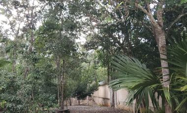 TERRENO EN VENTA EN TULUM COBÁ