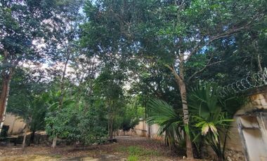 TERRENO EN VENTA EN TULUM COBÁ