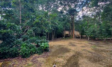 TERRENO EN VENTA EN TULUM COBÁ