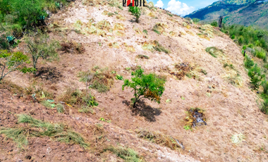 TERRENO EN PAUTE – PIRINCAY ALTO | 8.700 m² CON VISTA ESPECTACULAR