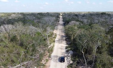 Terreno grande en venta en Mérida, Yucatán