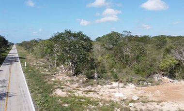 Terreno grande en venta en Mérida, Yucatán