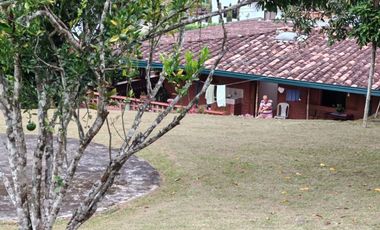 Venta Finca (Casa Finca) Fredonia Antioquia