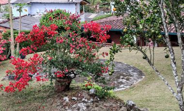 Venta Finca (Casa Finca) Fredonia Antioquia