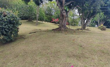 Venta Finca (Casa Finca) Fredonia Antioquia