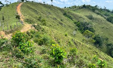 Venta Finca Ganadera y Agrícola en Maceo Antioquia