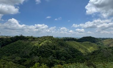 Venta Finca Ganadera y Agrícola en Maceo Antioquia