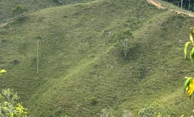 Venta Finca Ganadera y Agrícola en Maceo Antioquia