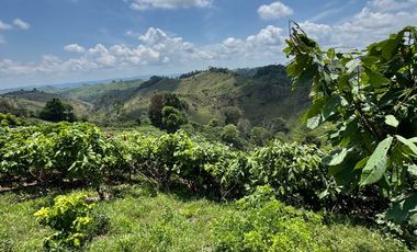 Venta Finca Ganadera y Agrícola en Maceo Antioquia