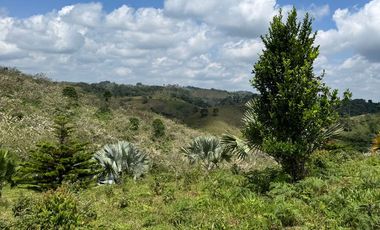 Venta Finca Ganadera y Agrícola en Maceo Antioquia