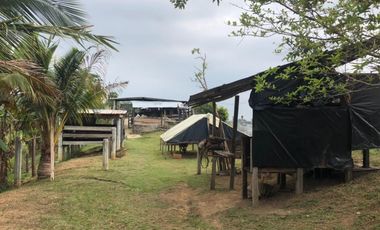 Venta Finca Ganadera y Agrícola en Maceo Antioquia