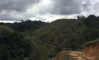 Venta Finca Ganadera y Agrícola en Maceo Antioquia