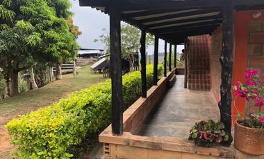 Venta Finca Ganadera y Agrícola en Maceo Antioquia