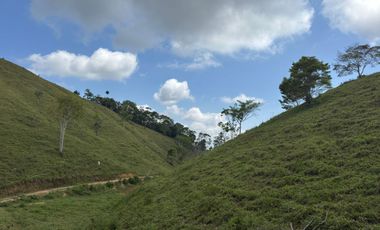 Venta Finca Ganadera y Agrícola en Maceo Antioquia