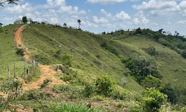 Venta Finca Ganadera y Agrícola en Maceo Antioquia