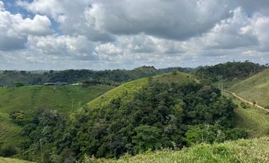 Venta Finca Ganadera y Agrícola en Maceo Antioquia