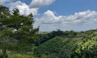 Venta Finca Ganadera y Agrícola en Maceo Antioquia