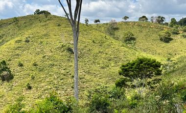 Venta Finca Ganadera y Agrícola en Maceo Antioquia