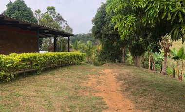 Venta Finca Ganadera y Agrícola en Maceo Antioquia