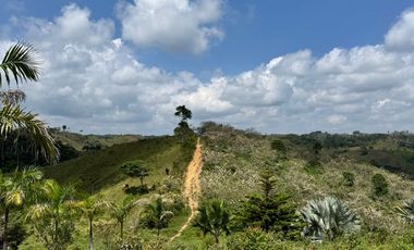 Venta Finca Ganadera y Agrícola en Maceo Antioquia