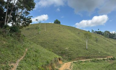 Venta Finca Ganadera y Agrícola en Maceo Antioquia