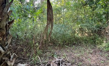 Casa Colonial en venta en Col. San Juan en Valladolid, Yucatán