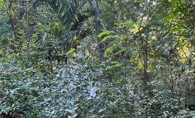 Casa Colonial en venta en Col. San Juan en Valladolid, Yucatán