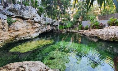 CASA EN RENTA EN BOSQUES DE BAMBU CON PANELES SOLARES PLAYA DEL CARMEN