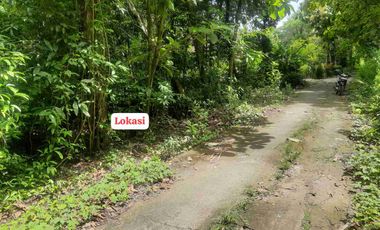 Dijual Tanah Murah di srikayangan Sentolo Kulon Progo