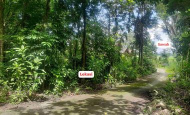Dijual Tanah Murah di srikayangan Sentolo Kulon Progo