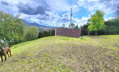Challuabamba sector Panamericana norte terreno de venta 780m2