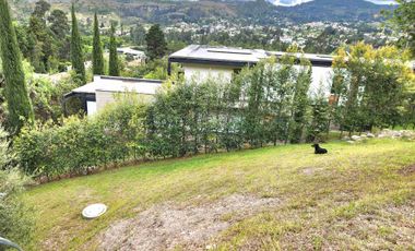Challuabamba sector Panamericana norte terreno de venta 780m2