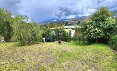 Challuabamba sector Panamericana norte terreno de venta 780m2