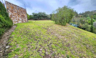 Challuabamba sector Panamericana norte terreno de venta 780m2