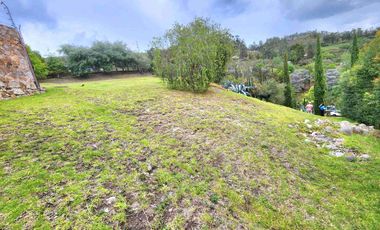 Challuabamba sector Panamericana norte terreno de venta 780m2