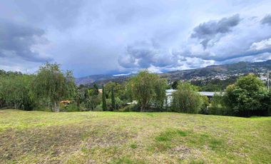 Challuabamba sector Panamericana norte terreno de venta 780m2