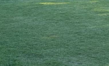 Kavling Bagus Luas HGB di Semolowaru Tengah Siap Bangun