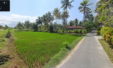 Dijual Tanah Strategis Dekat Pantai Batukaras – Cocok untuk Villa & Hotel